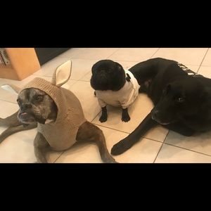 Meet your Posher, Alexandra